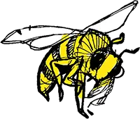 decorative bee 1 - site hero ornament